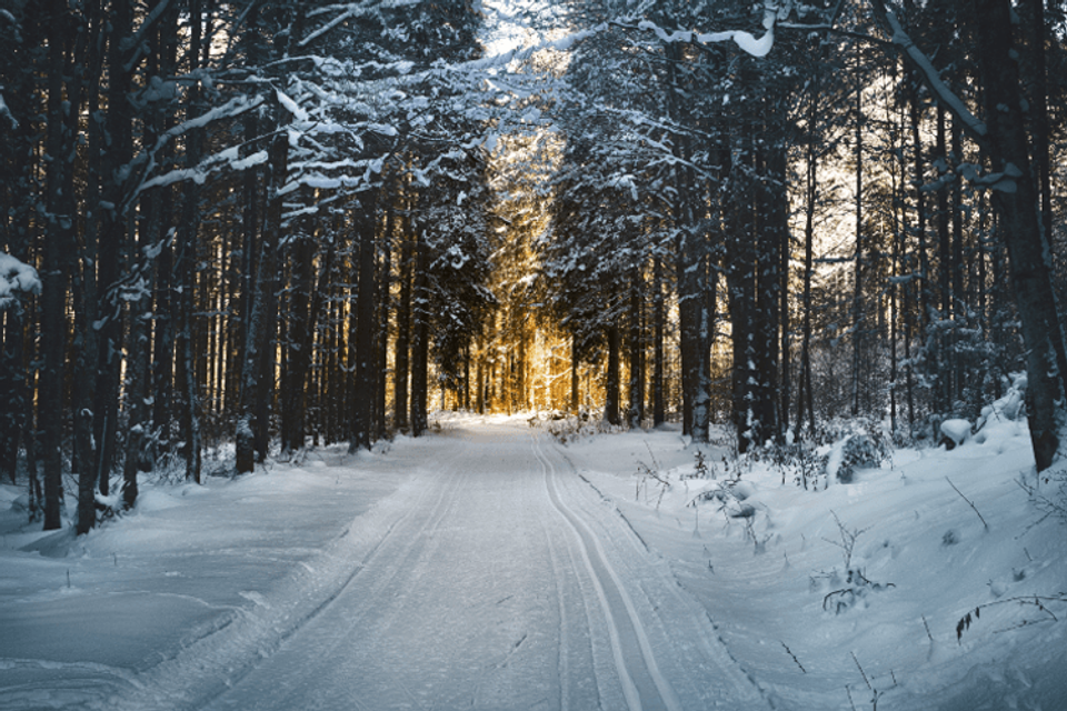 5 tips om met jouw organisatie de winter door te komen!