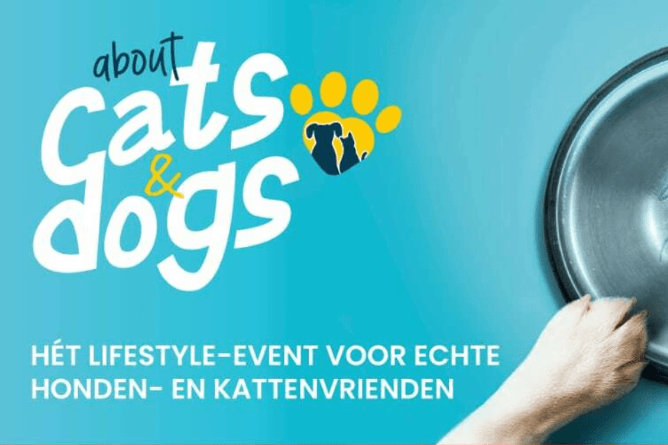 About Cats and Dogs 2022