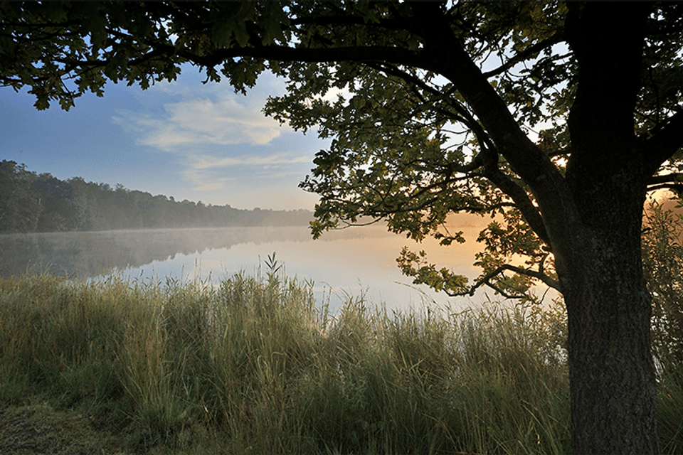 Congresregio heuvelrug - Leersumse plassen