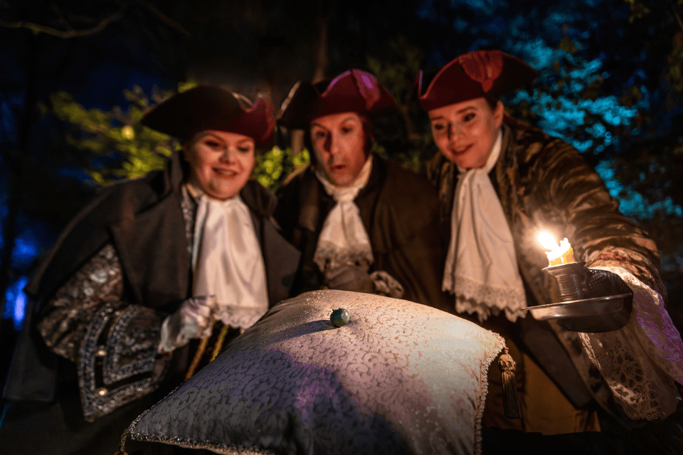 Efteling Prinses op de Erwt visual