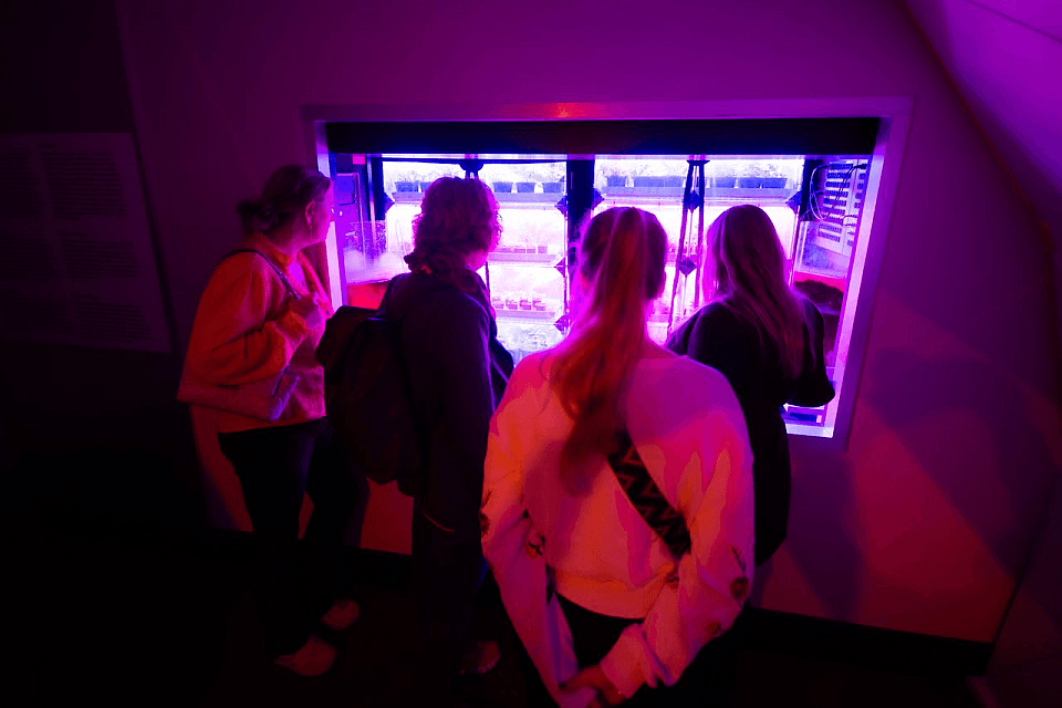 FAMtrip Eindhoven House of Yellow