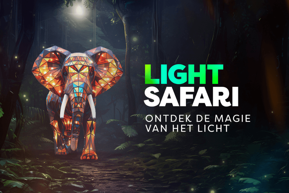 Visual Light Safari Beekse Bergen