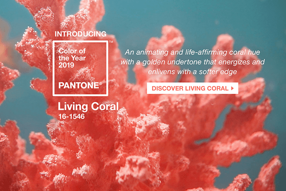 Living Color, kleur van het jaar 2019