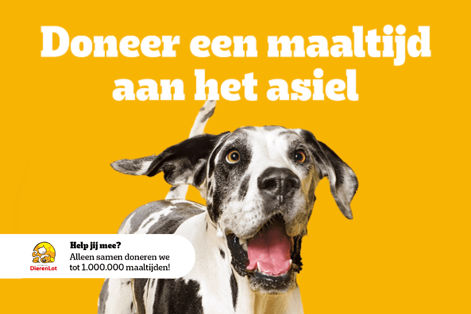 Visual Pedigree dierendag actie 2023