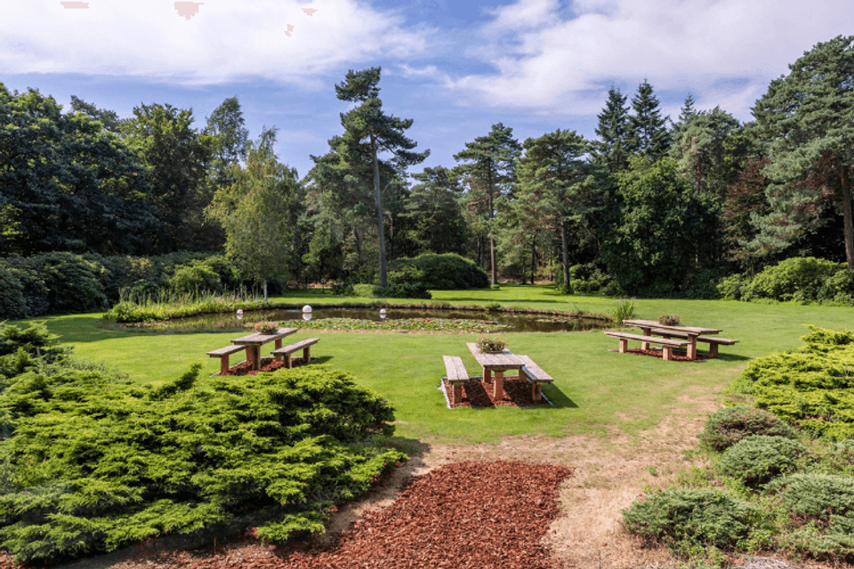 Woudschoten zitjes bij de vijver